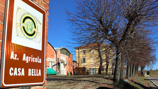 Da oltre un secolo al lavoro in Val Tidone: la tenuta e i vigneti Montemartini